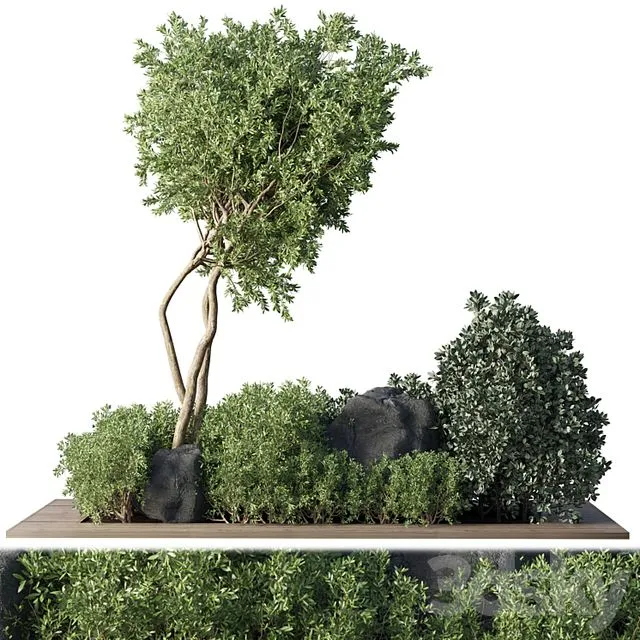 Collection Outdoor Indoor plant 67 3dsMax Model