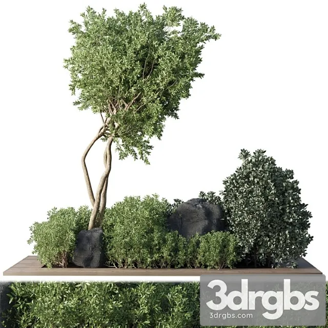 Collection outdoor indoor plant 67 Green garden plant-tree-bush corona