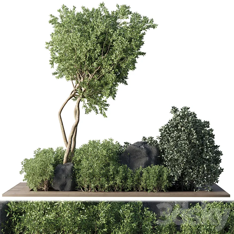 Collection Outdoor Indoor plant 67_green garden plant-tree-bush corona 3DS Max