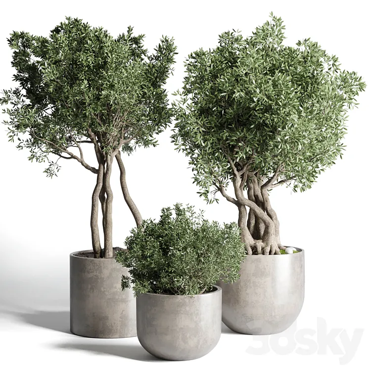 Collection Outdoor Indoor plant 77 concrete dirt vase pot tree bush 3DS Max