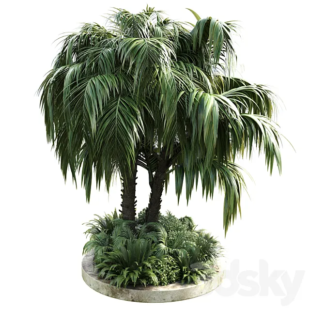 Collection Outdoor plant 39 in garden pot tree palm bush fern concrete dirt old vase 3DS Max Model