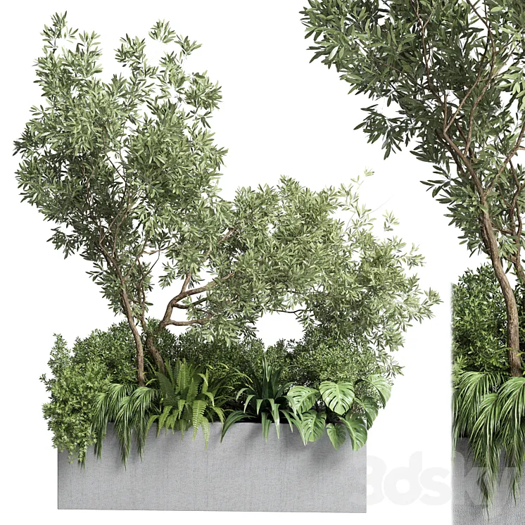 Collection outdoor plant 68 pot plant bush grass and tree and palm concrete vase bax 3DS Max