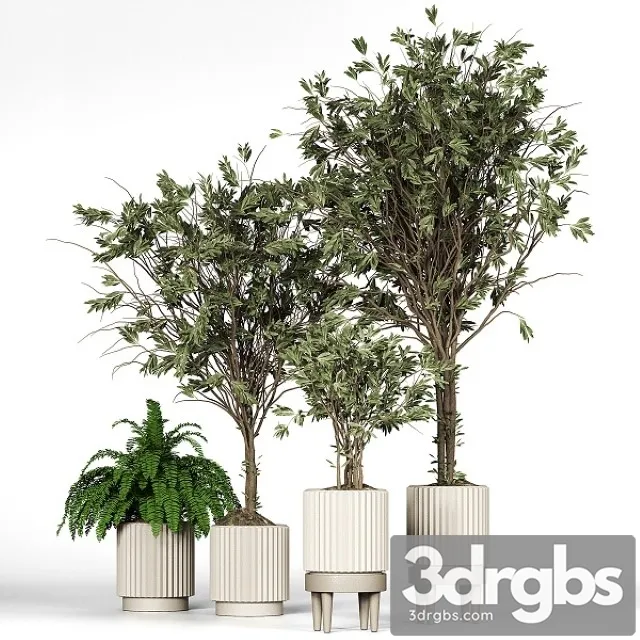 Collection plant 05 3dsmax Download