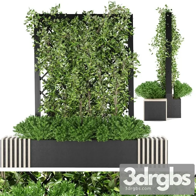 Collection Plant Vol 16 3dsmax Download