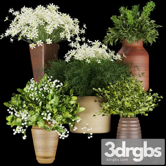 Collection plant vol 262 – bouquet – flower