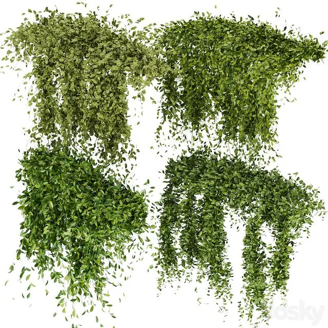 Collection Plant Vol 293 – Fitowall – Leaf – Ivy 3dsMax Model