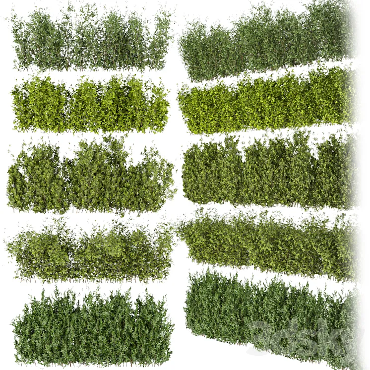 Collection plant vol 309 – bush – outdoor – leaf 3DS Max Model