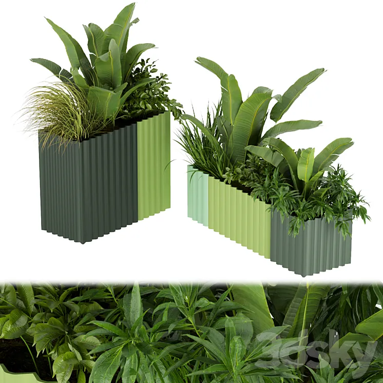 Collection plant vol 318 – banana – indoor – leaf 3DS Max Model