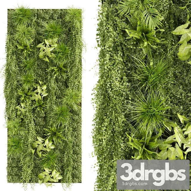 Collection plant vol 386 – fitowall – ertical – leaf – palm – grass – fern