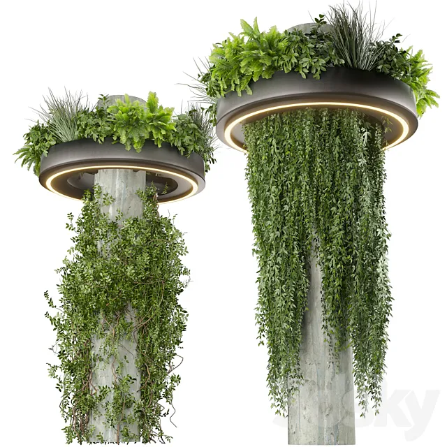 Collection plant vol 532 – bush – ampelous – column – fitowall – ivy 3ds Max