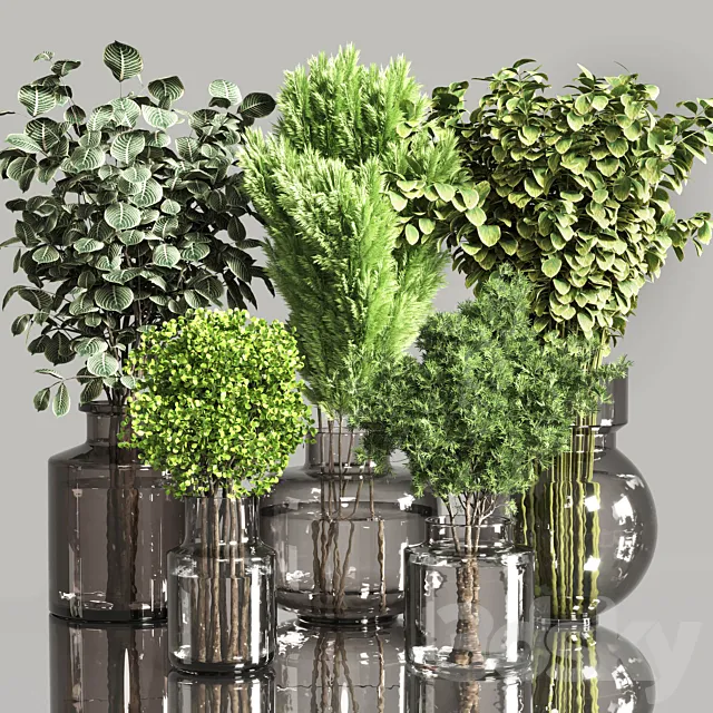 Collection Plants Bouquet Indoor 01 3ds Max