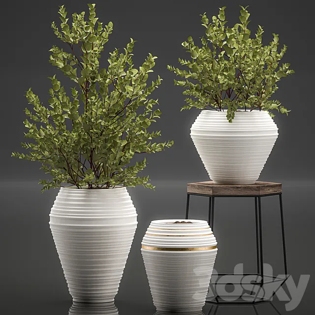 Collection with a small decorative tree Eucalyptus ash bush in a white ethnic pot vase. Set 538. 3ds Max