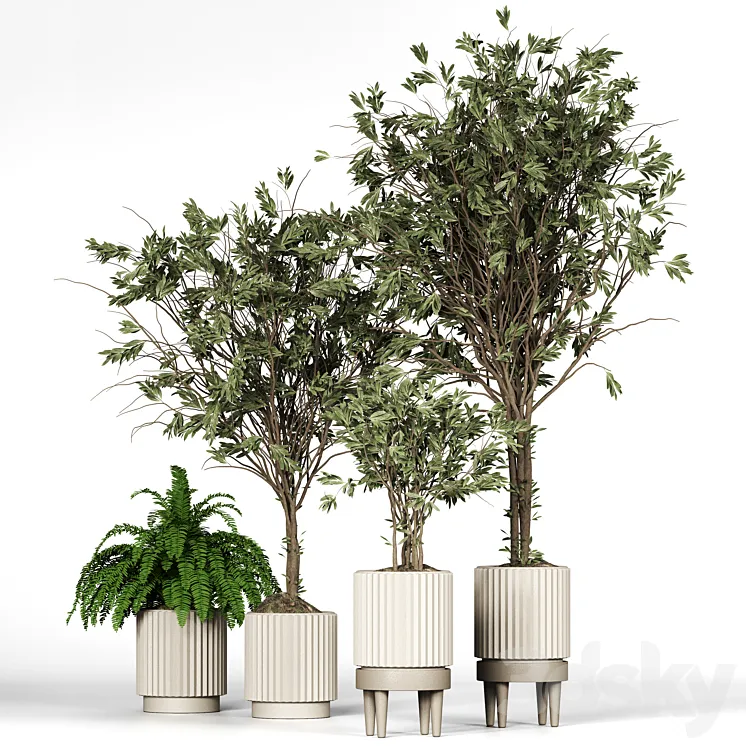 Collection_plant_05 3DS Max Model