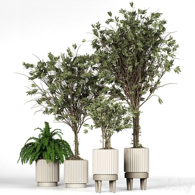 Collection_plant_05 3dsMax Model