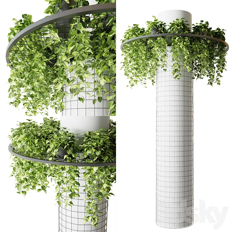 Column with hanging plants (epipremnum) 3DS Max Model