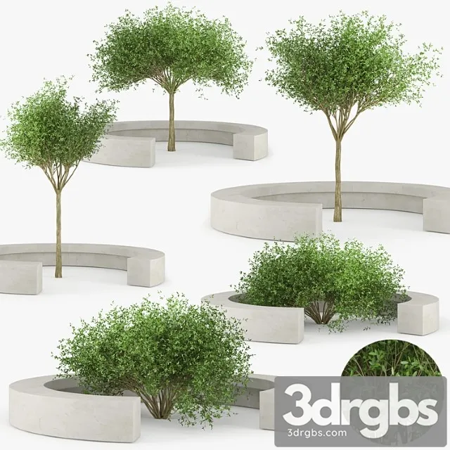 Comb By Vora Arquitectura Tree Bench 3dsmax Download