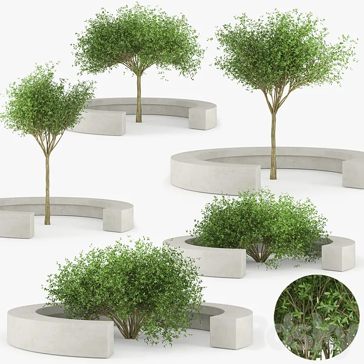 COMB BY VORA ARQUITECTURA Tree Bench 3DS Max