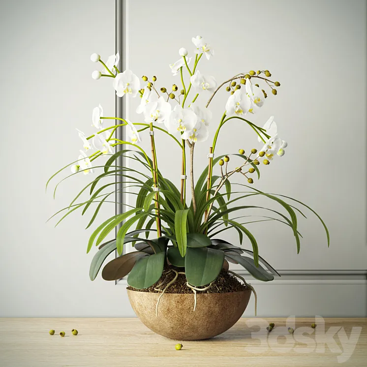 composition with orchids 3DS Max