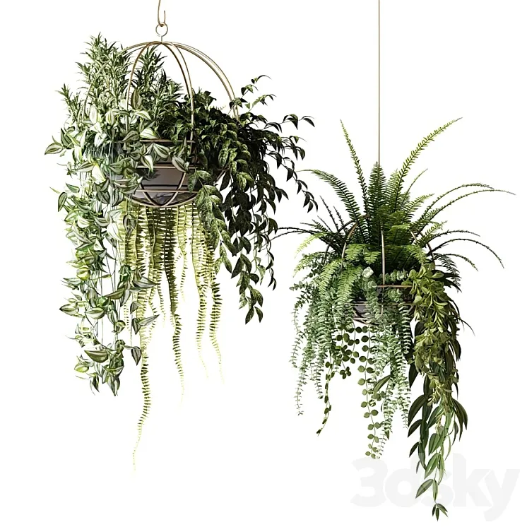 Compositions of ampelous plants in hanging pots # 3 3DS Max