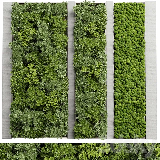 Concrete frame Vertical garden plant and moss garden wall decor box 66 3DS Max Model