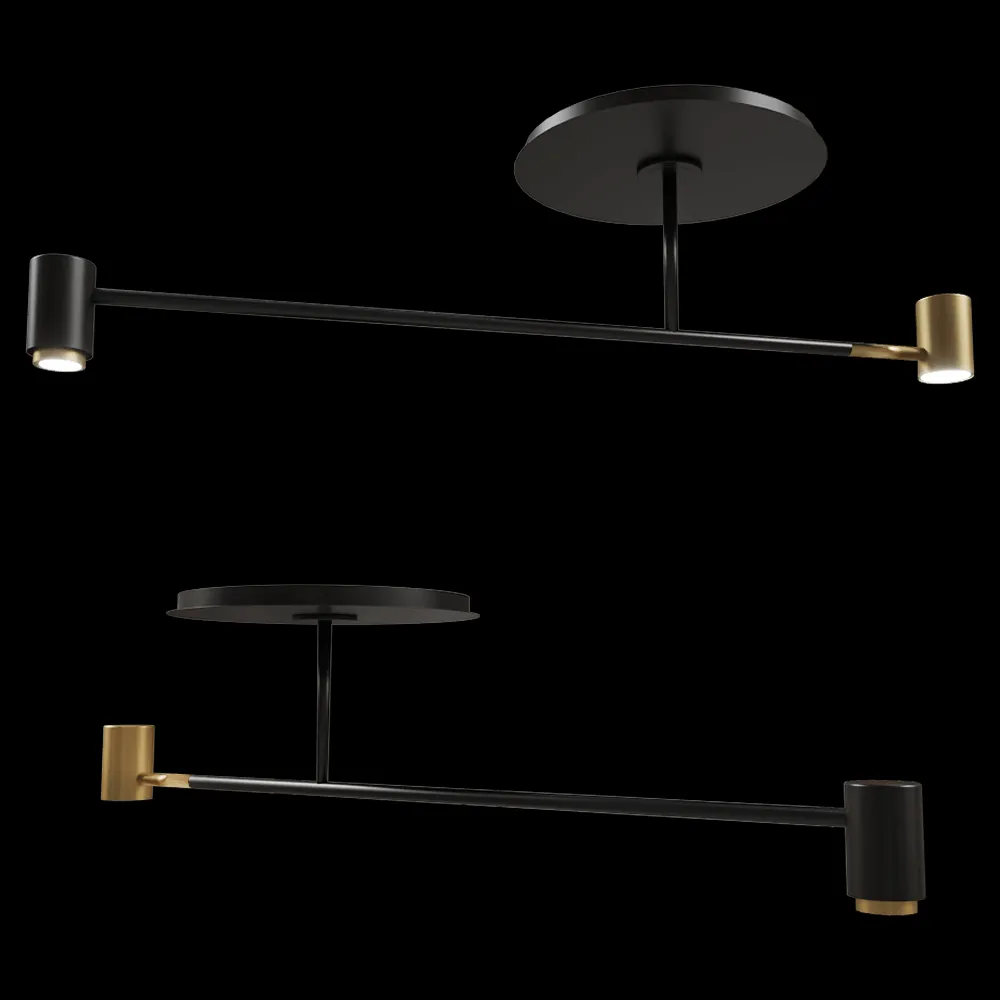 Contardi  – Ceiling lamp Melanocetus PL 3ds Max