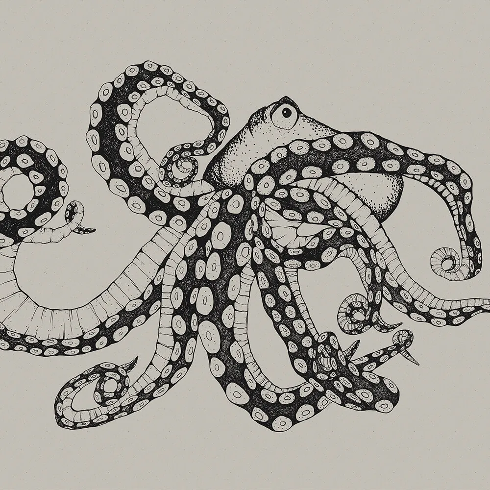 Coordonné – Wallpaper Octopus XRay 3ds Max