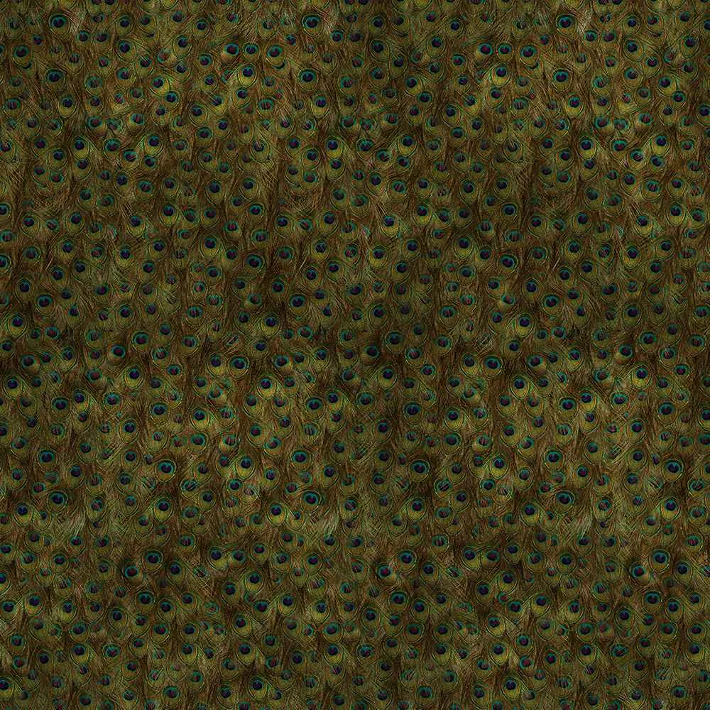 Coordonné – Wallpaper Peafowl 3ds Max