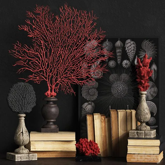 Coral Set 2 3dsMax Model