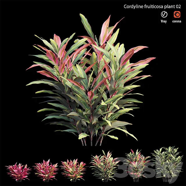 Cordyline Fruticosa plant set 02 3ds Max