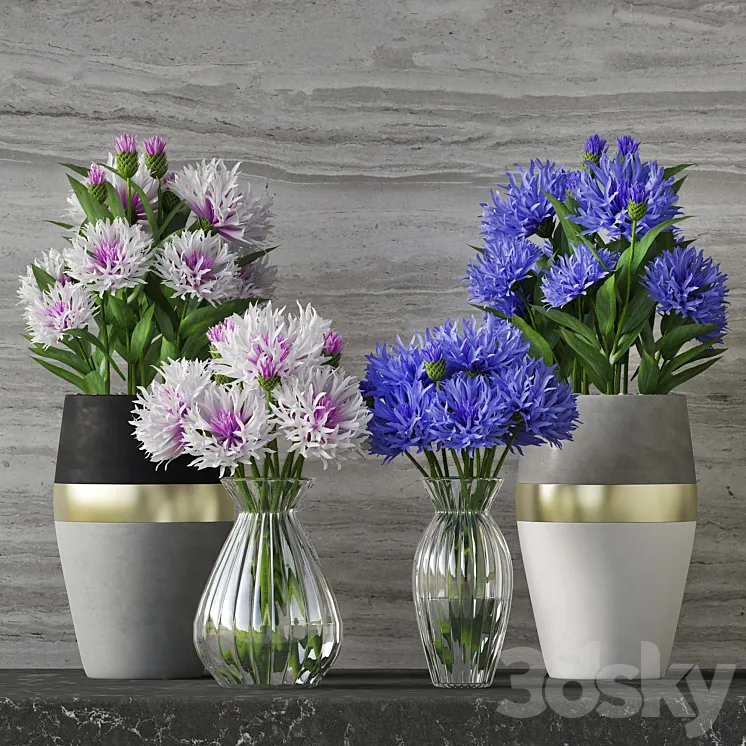 Cornflower Set 3DS Max