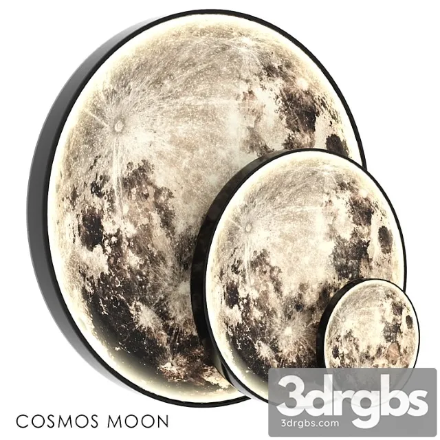 Cosmos moon