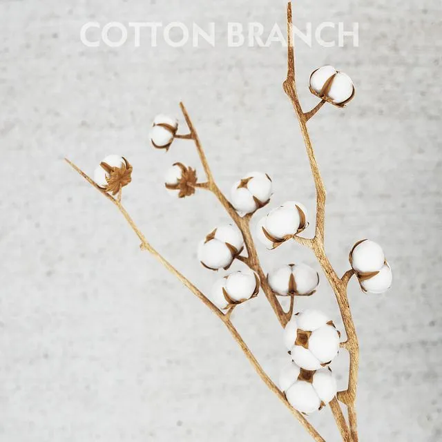 cotton threads 3dsMax Model