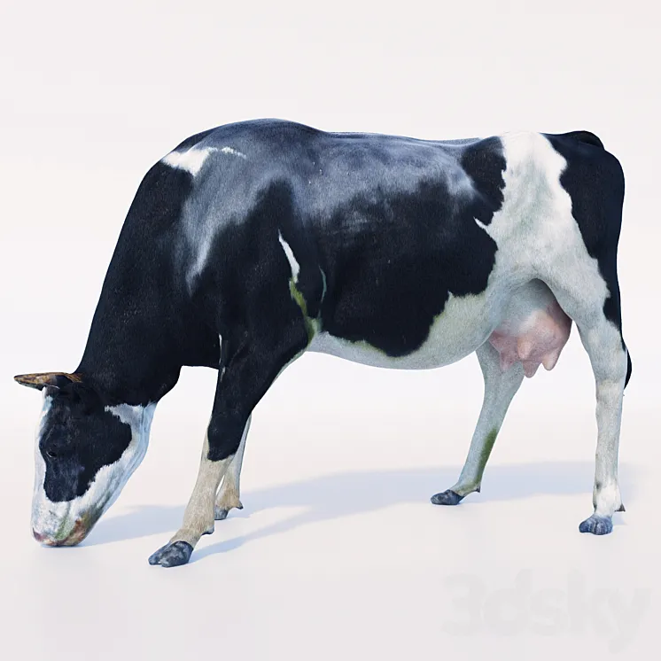 Cow 3DS Max