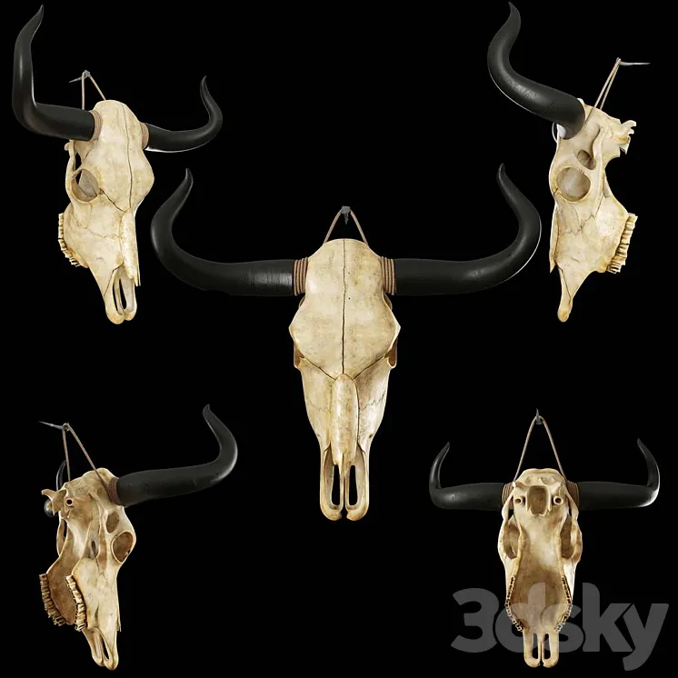 Cow skull 3DS Max