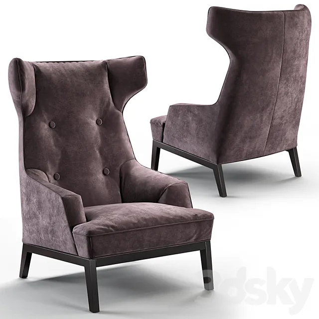 Cozy winghair 3ds Max