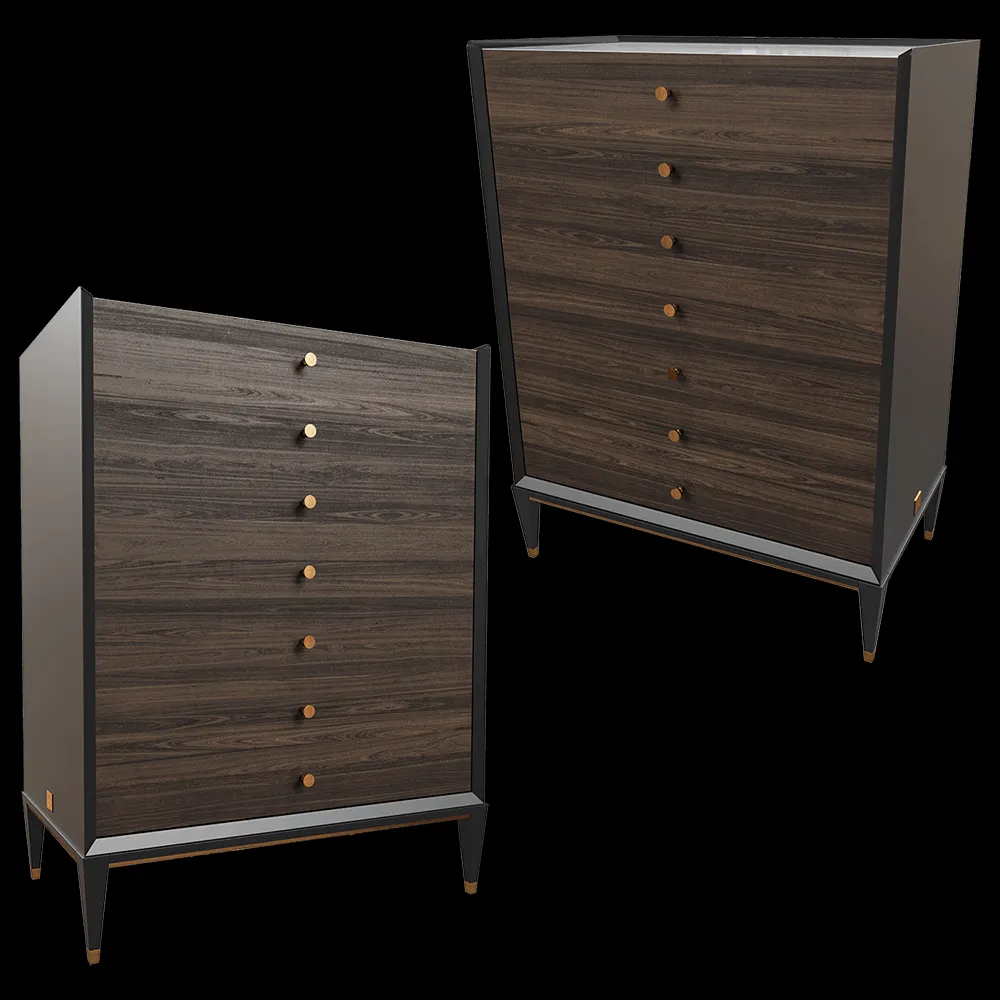 CPRN HOMOOD – Chest of drawers E209 3ds Max
