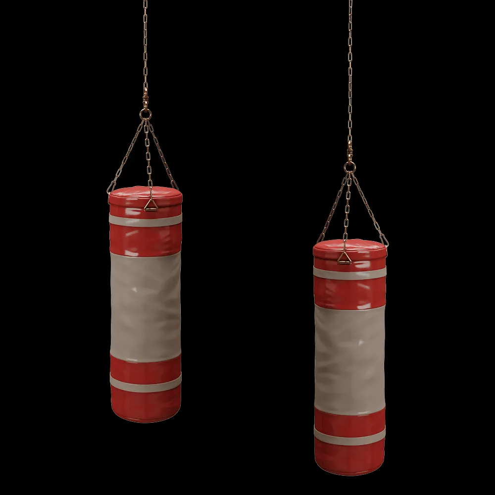 CPRN HOMOOD – Punching bag 3ds Max