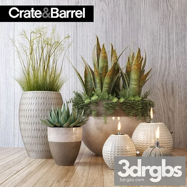 Crate Barrel Plant Set 3dsmax Download