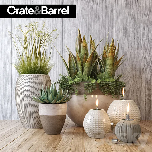 Crate&Barrel plant set 3ds Max