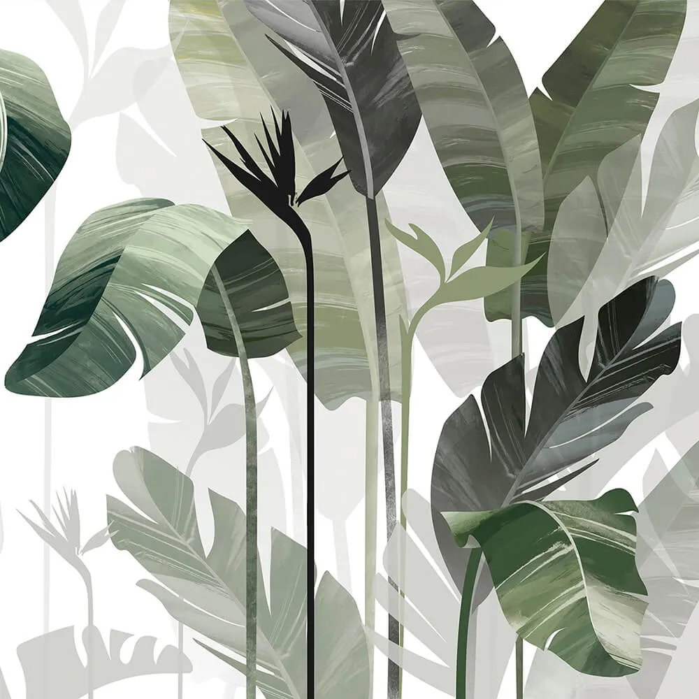 Creativille – 4246 Tropical strelitzia 3ds Max