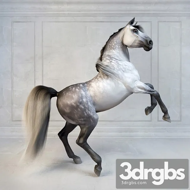 Creature Andalusian stallion. the spanish horse. 3dsmax Download