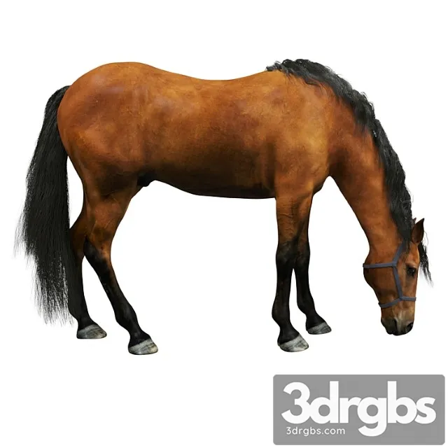 Creature Horse 3dsmax Download