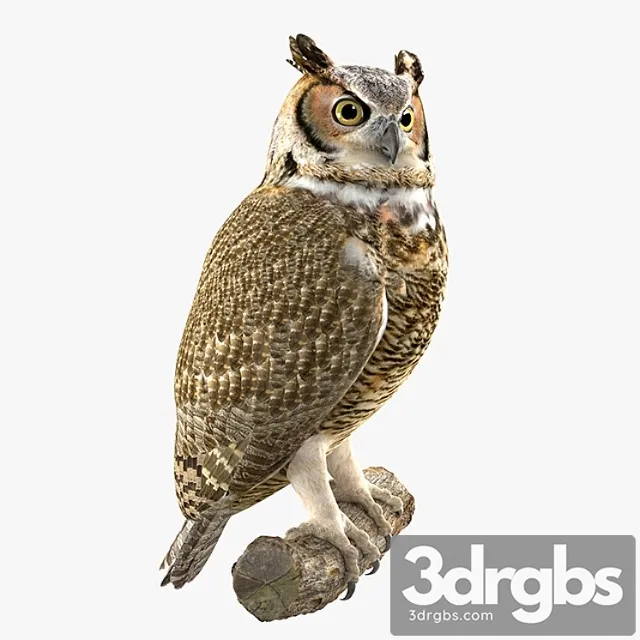 Creature Owl 3dsmax Download