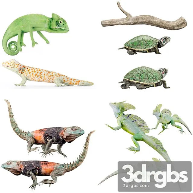 Creature Reptile collection 3dsmax Download
