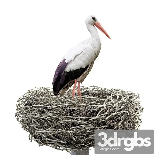 Creature Stork 3dsmax Download