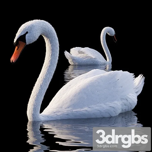 Creature White swan 3dsmax Download