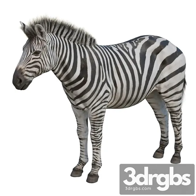 Creature Zebra 3dsmax Download