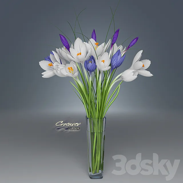 Crocus 3ds Max