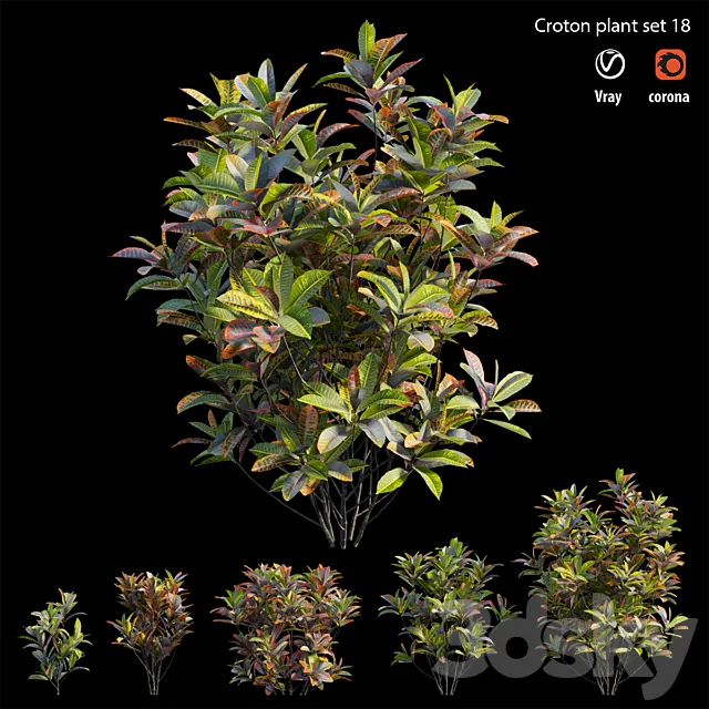 Croton plant set 18 3ds Max