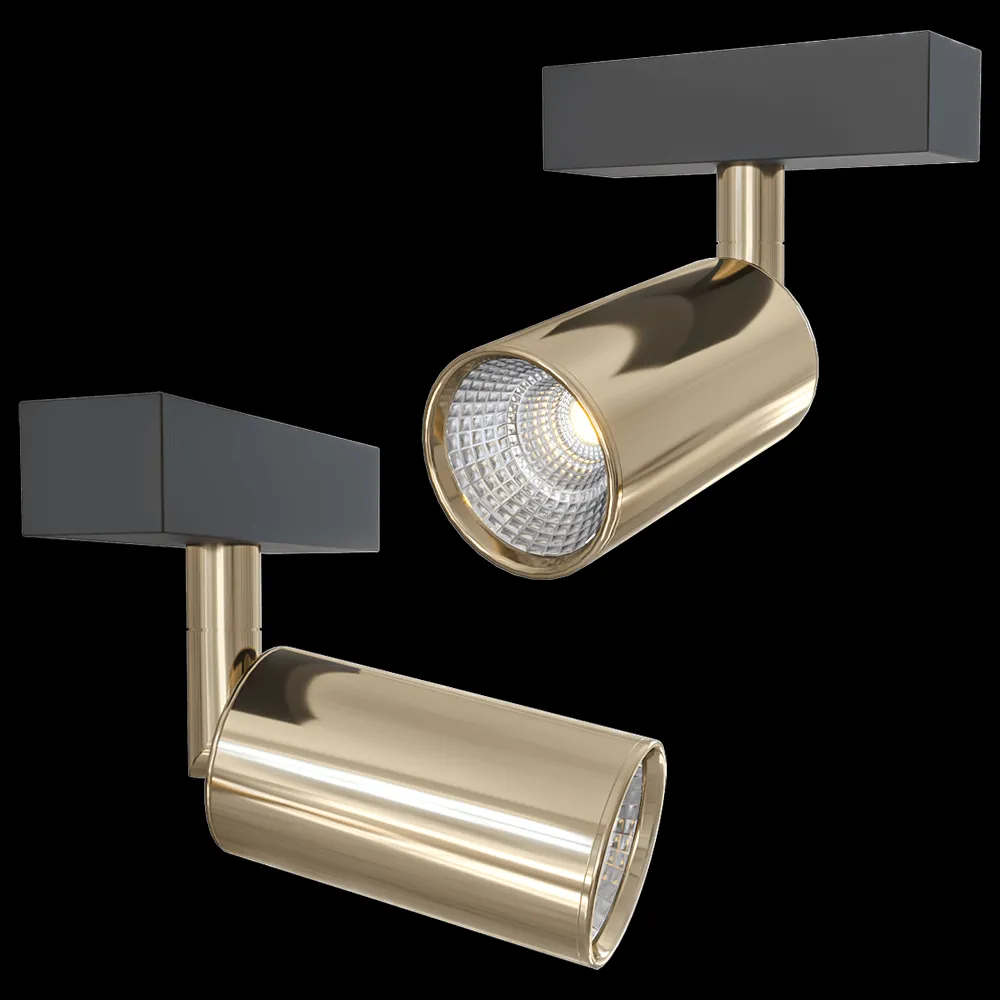 CRYSTAL LUX – Track light CLT 0.33 009 12W GO 4000K 3ds Max